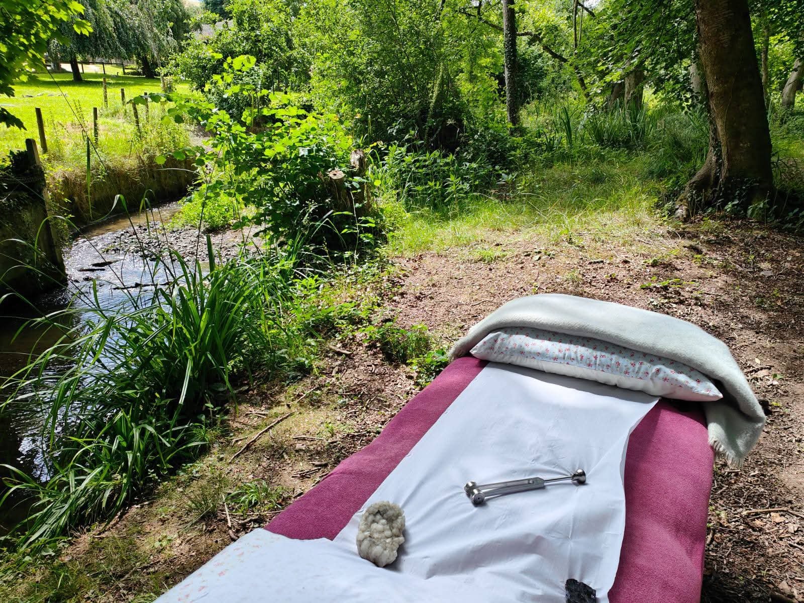 Reiki in the Woods