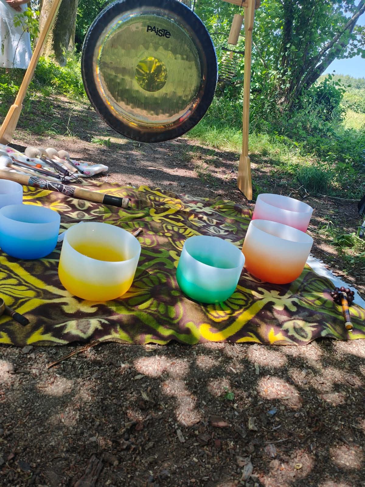 FB_IMG_1768216200281 The woods sound bowls